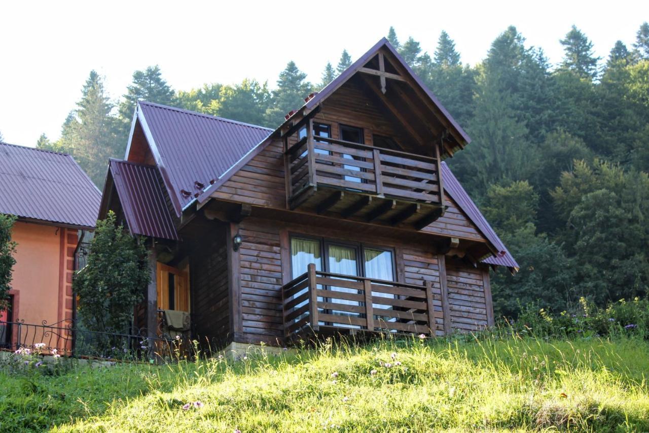 Cottage "Karpatske Shale" Yaremche Eksteriør billede