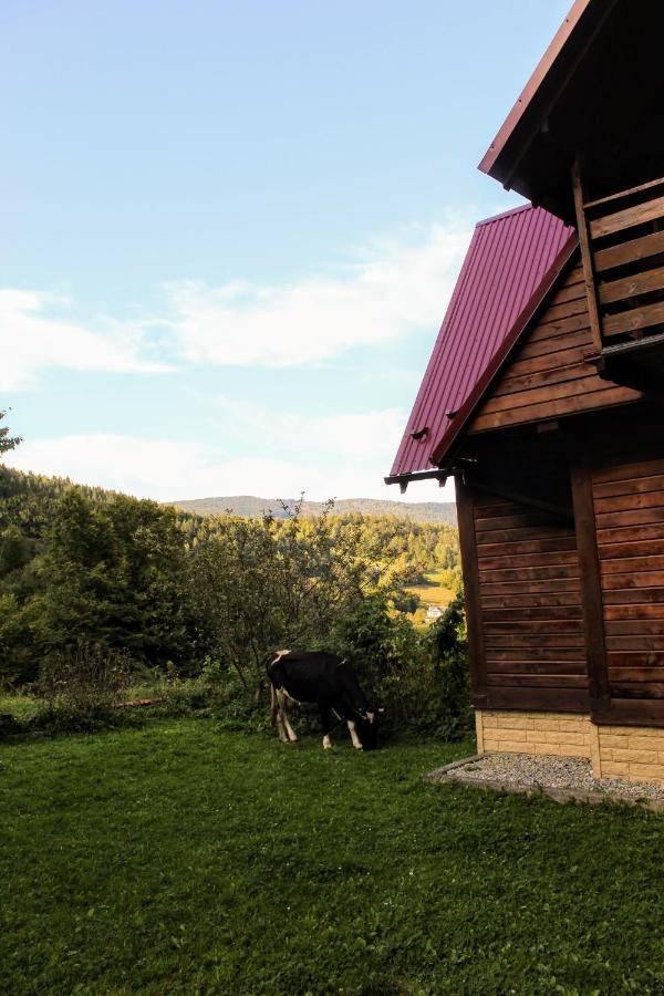 Cottage "Karpatske Shale" Yaremche Eksteriør billede