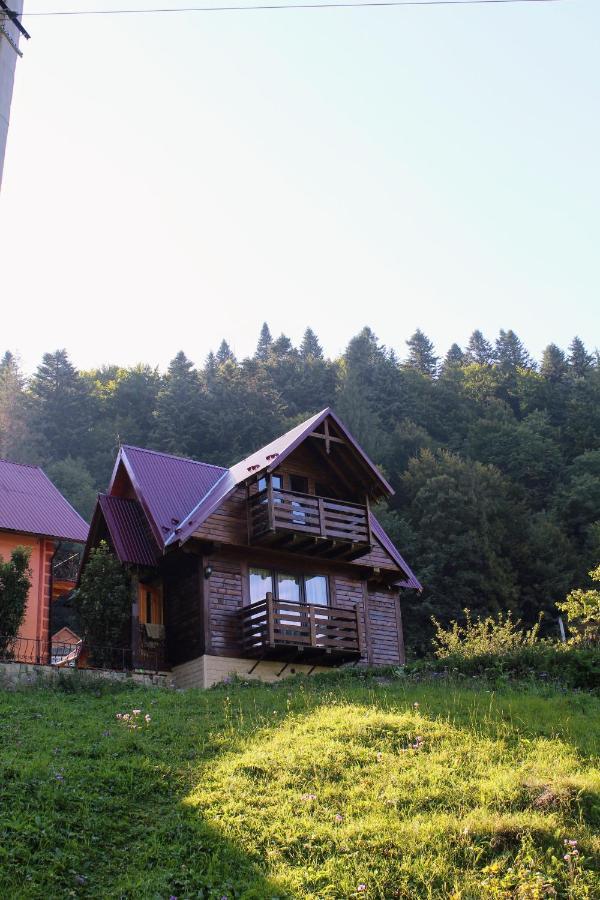 Cottage "Karpatske Shale" Yaremche Eksteriør billede