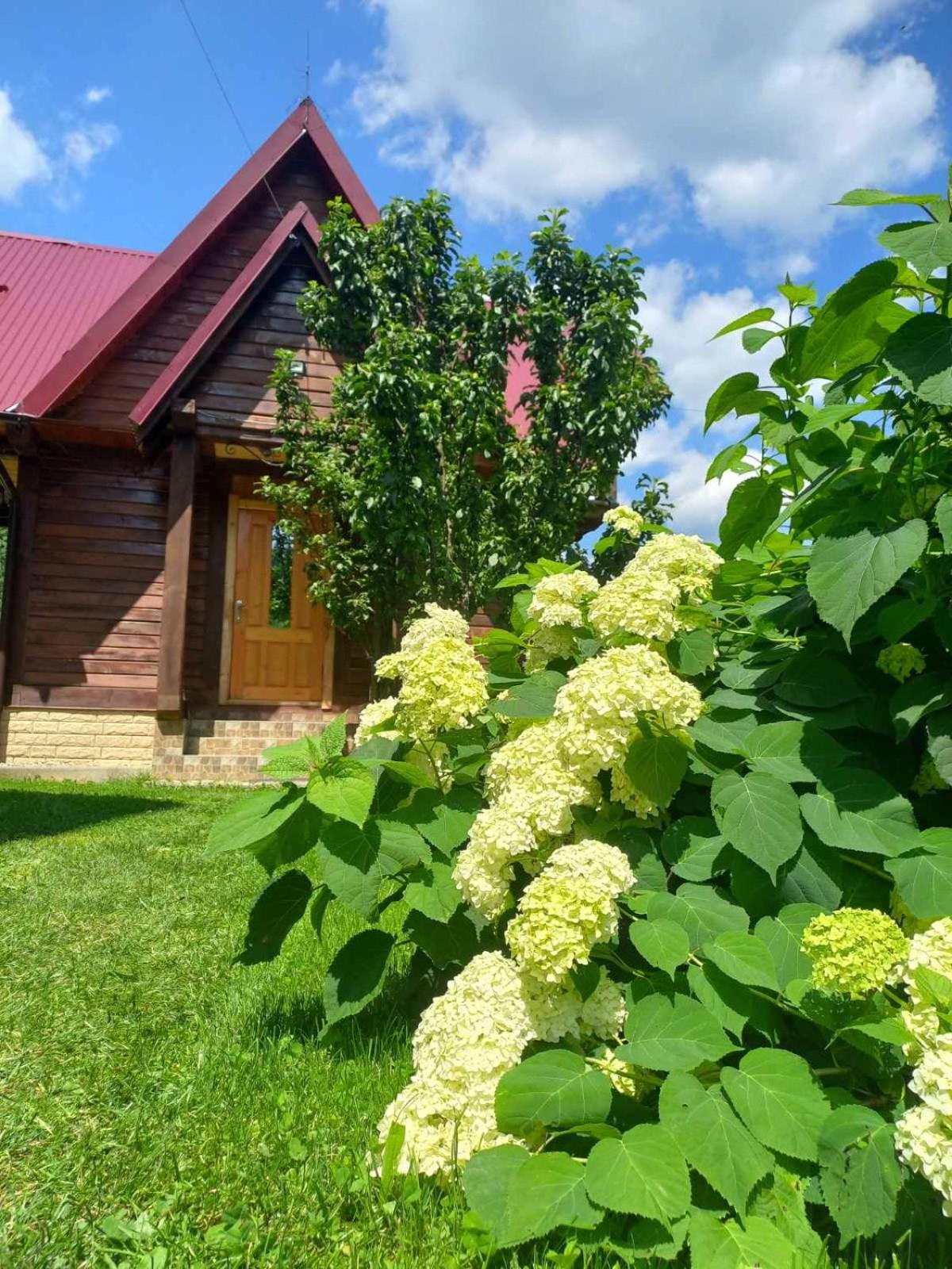 Cottage "Karpatske Shale" Yaremche Eksteriør billede